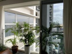 Sky@Eleven (D11), Condominium #569997191